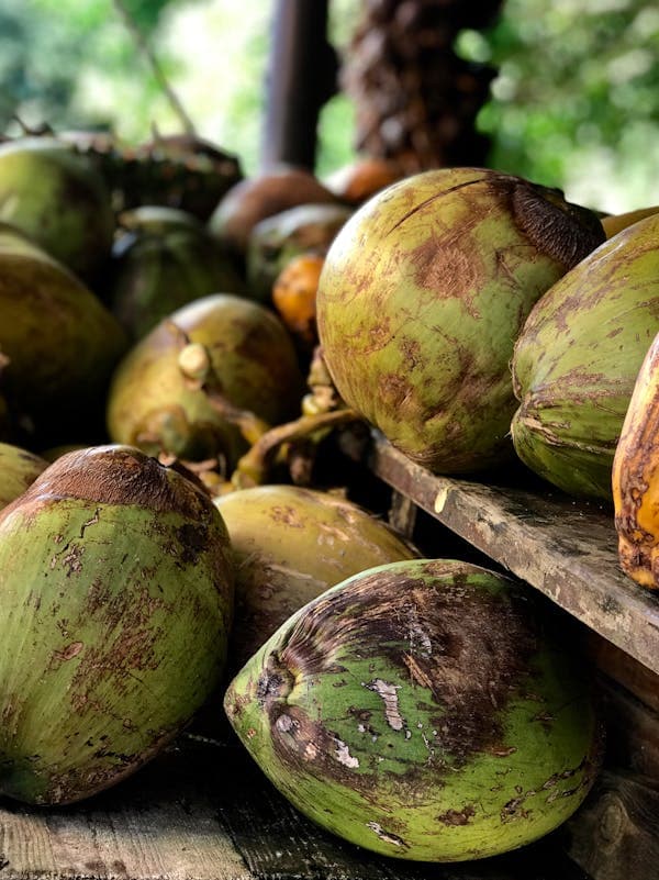 Coconut Water