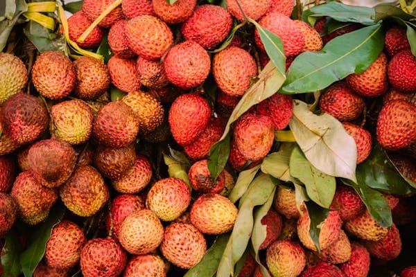 Litchi Juice