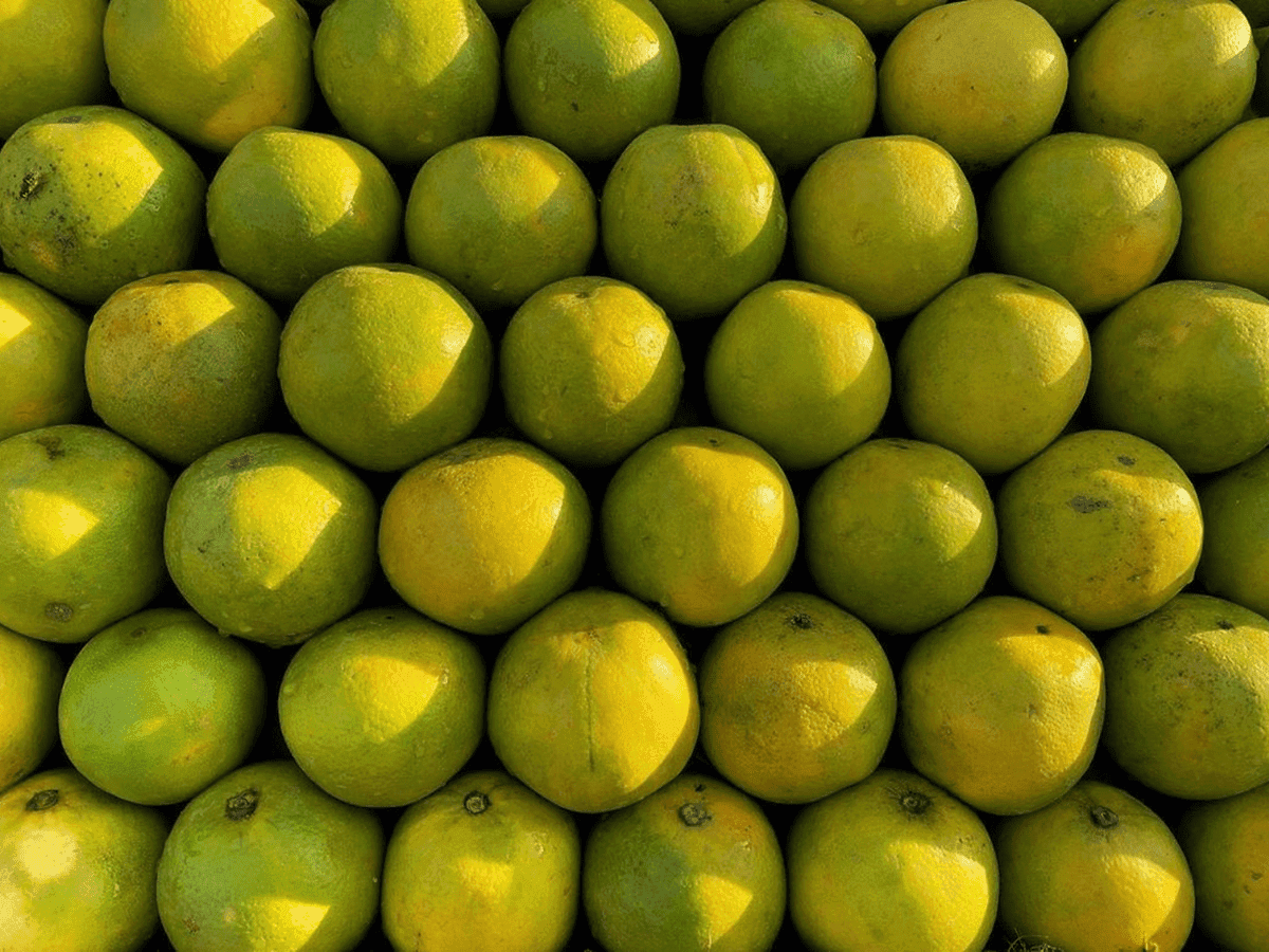 Mosambi Juice